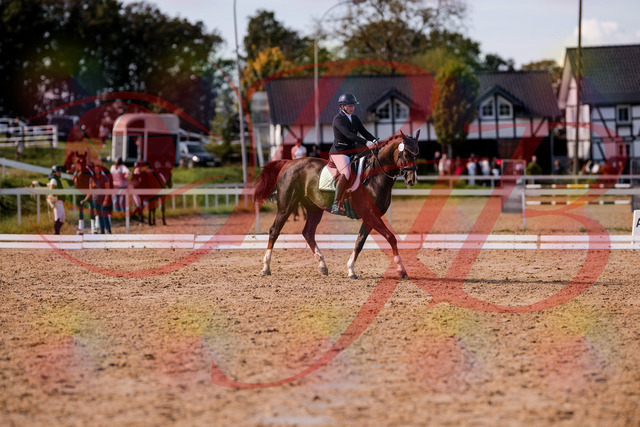 2026_10_03_Siefer-Hof_132514_Z81_74749615 | Professionelle Reitsport-, Turnier- und Eventfotografie von Robert Broda. Galerien mit ausgewählten und bearbeiteten Bildern direkt online ansehen und bestellen.