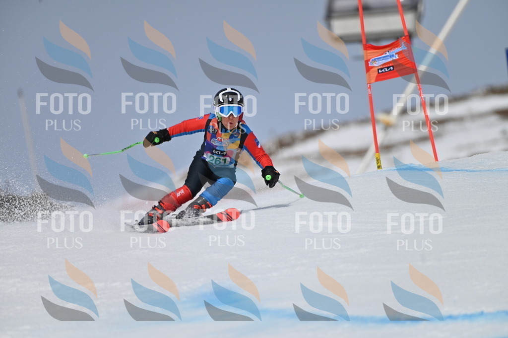 BGV_5174 | holidayphoto