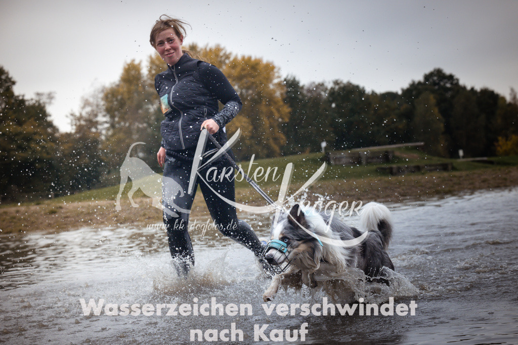 1220_ZZ99372 | kk-dogfotos