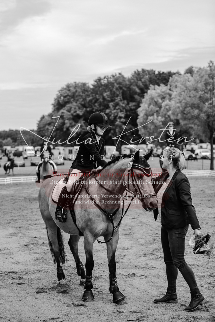 DSC_0278 | Pferde- und Turnierfotografie in Westsachsen. Pferdeportraits, Auftragszeichnungen und intuitive Kunst.