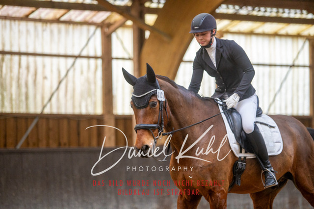 IMG_0022 | Turniersportfotografie; Pferdefotografie; Dressurfotografie