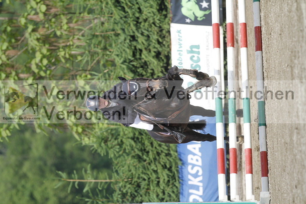 _MG_4534 | equestrian-live-com