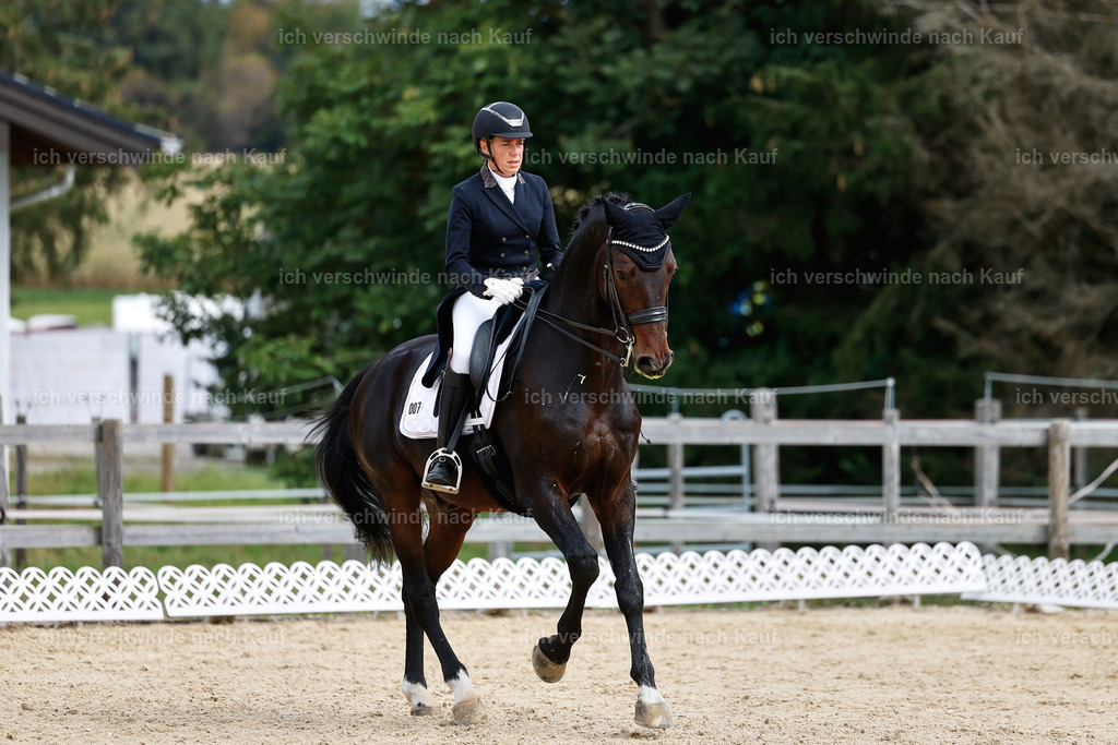 11-007-Dressur S___-StoibPH-1099 | working equitationturnier fotograf videograf stoibphotography marixx film working equitation deutschland reitsport turnierfotografie eventfotografie equestrian events