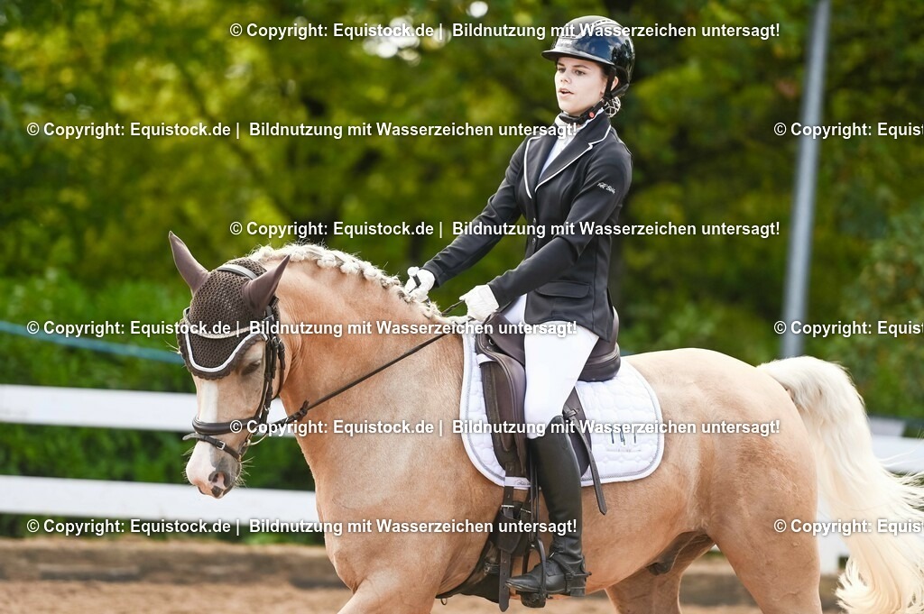 20230716_04_Dressurreiterprüfung Kl.A_0354 | equistock