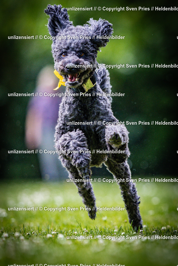 Sven Pries | 2025-05-29 - Pudelrennen KA-Durlach - Realisiert mit Pictrs.com