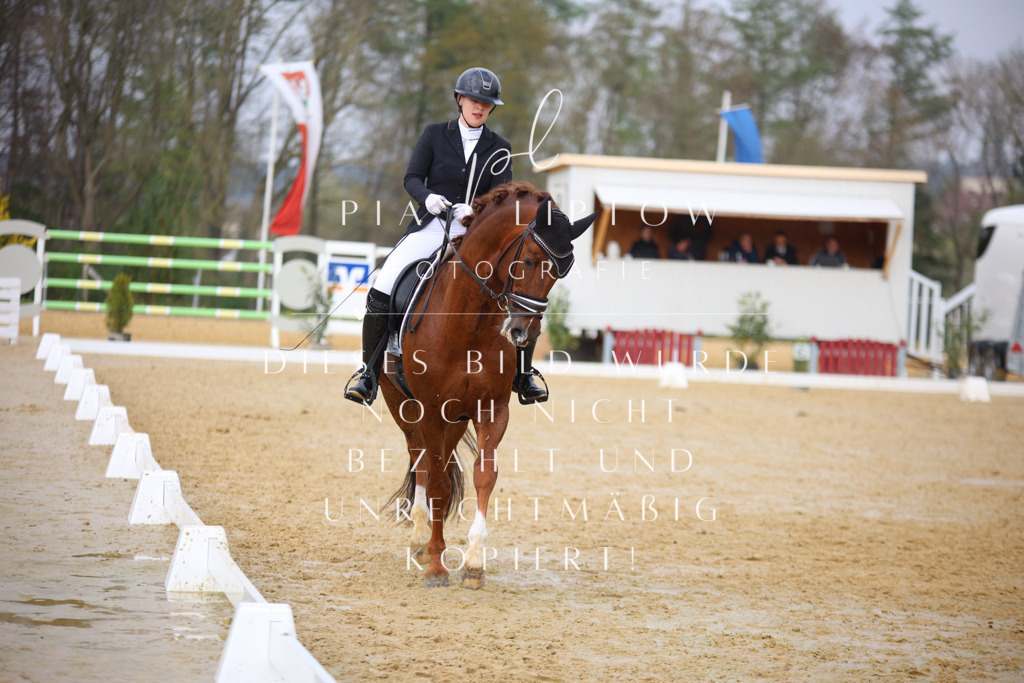 IMGT7562 | pl-fotografie