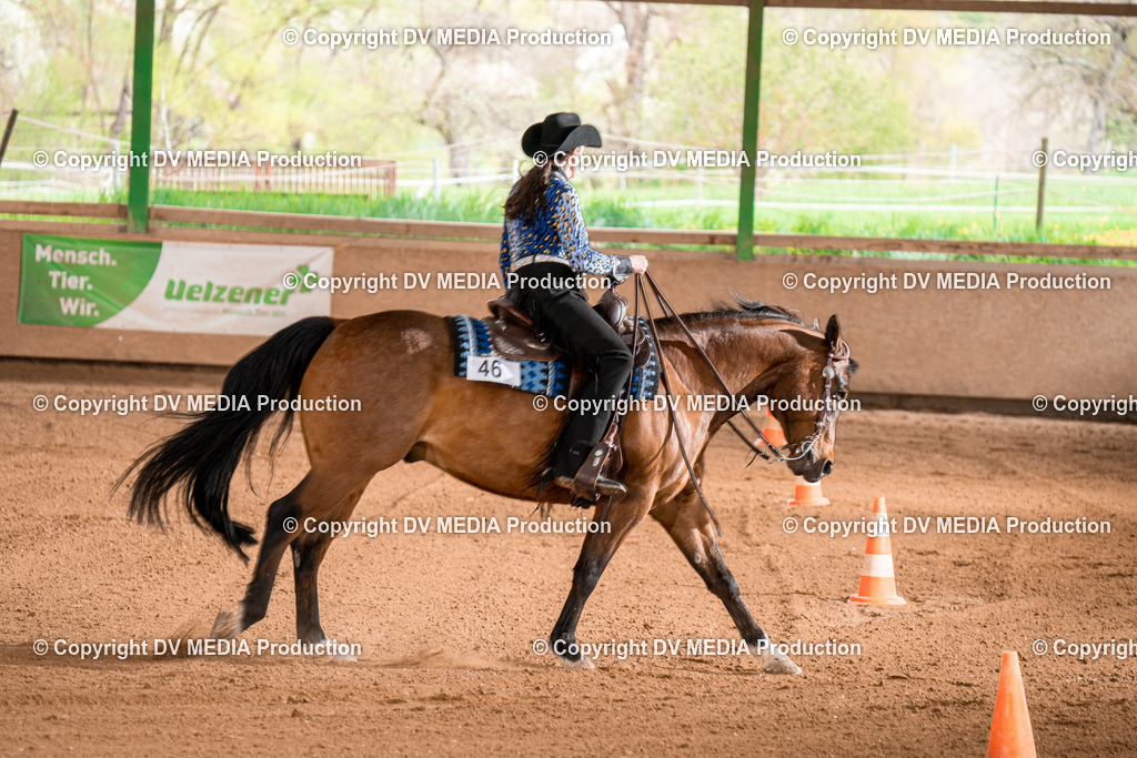 BA300882 | dv-media-shop - Realisiert mit Pictrs.com