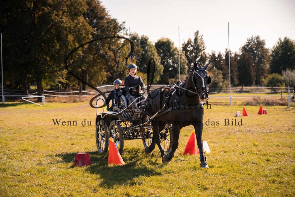 A7V04352 | Pferdefotograf