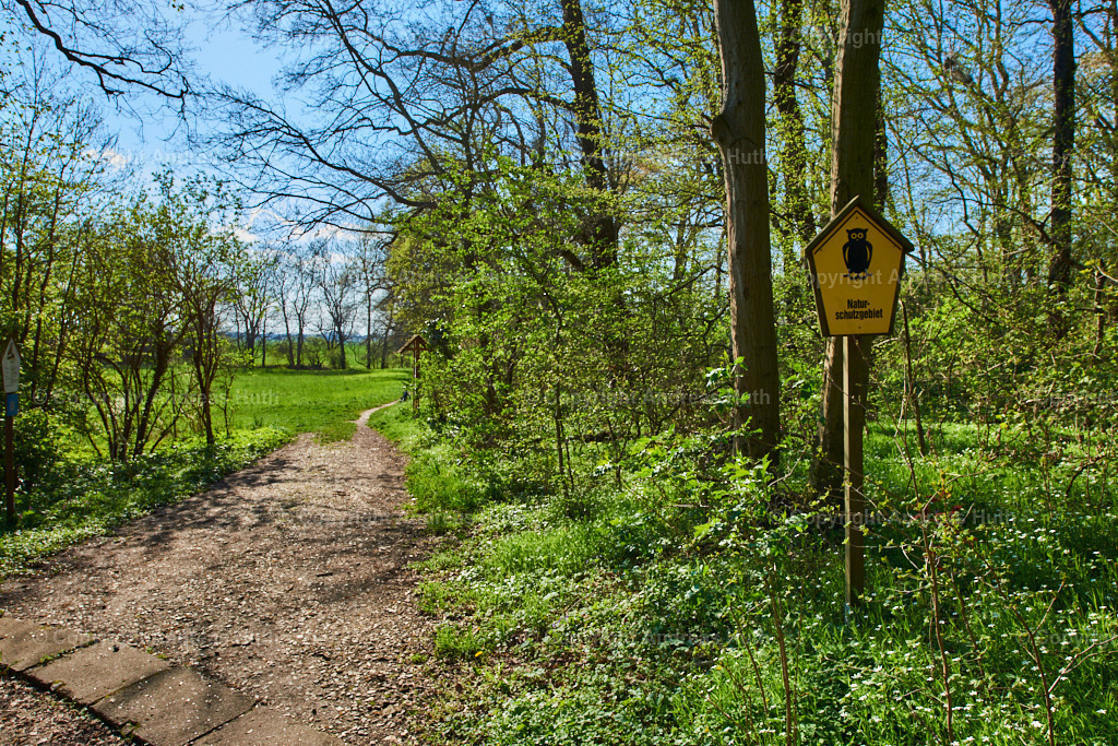 Im NSG _Pfarrholz_ Groitzsch 01 | Bedeutsame Landschaften Deutschlands - Realisiert mit Pictrs.com