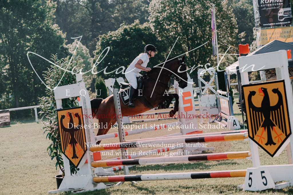 DSC_4622 | Pferde- und Turnierfotografie in Westsachsen. Pferdeportraits, Auftragszeichnungen und intuitive Kunst.