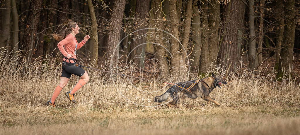 DV3A4193 | Hundefotografie, Tierfotograf, Pfotenfotografie, Fotoshooting Hund, Hunde Portrait, Hundesport, Hundeportraits, Heideshooting, Hunde, Sportfotograf, Hundefotograf, Turnierhundsport, THS,  - Realisiert mit Pictrs.com