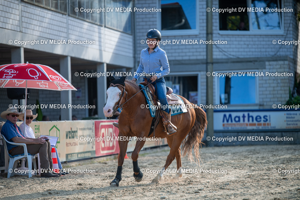 EWP_7124 | dv-media-shop - Realisiert mit Pictrs.com