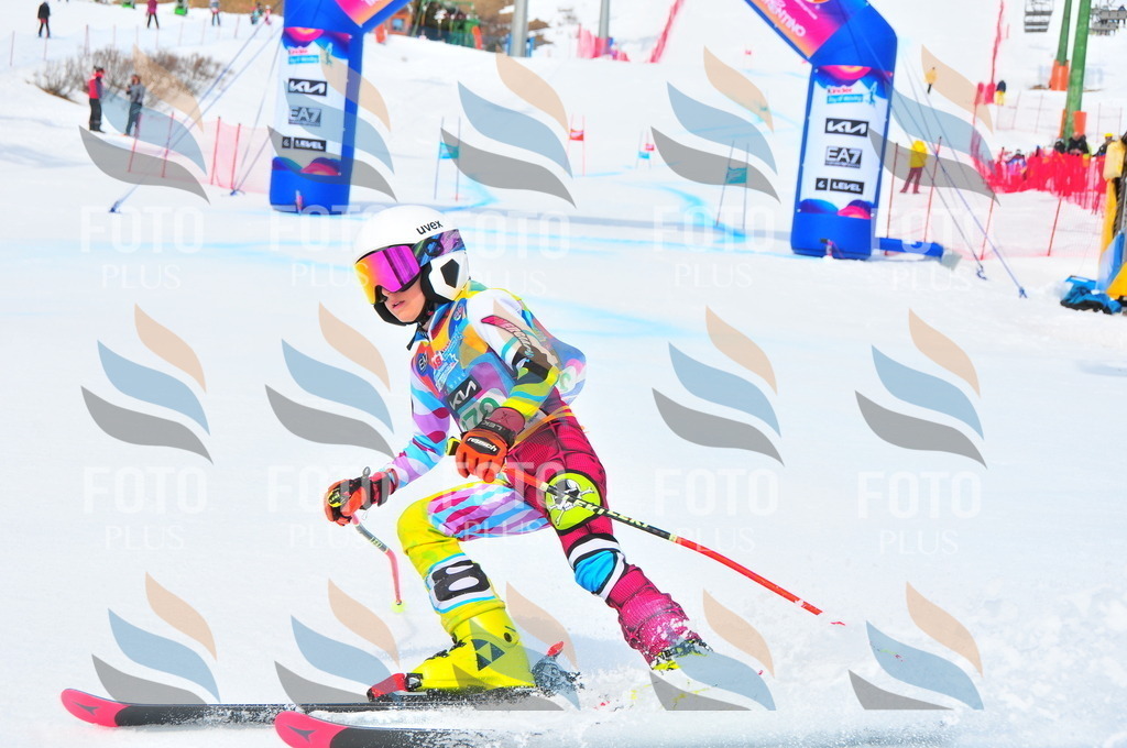 DSC_2606 | holidayphoto