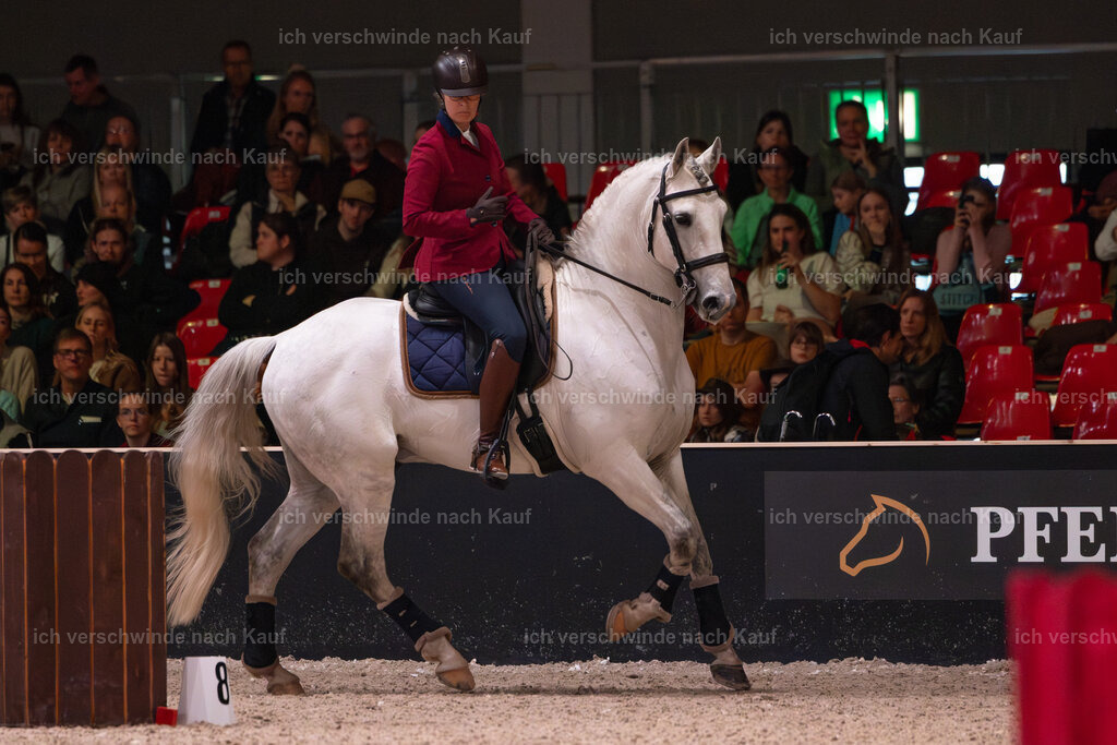 JoseraCup-101 | working equitationturnier fotograf videograf stoibphotography marixx film working equitation deutschland reitsport turnierfotografie eventfotografie equestrian events