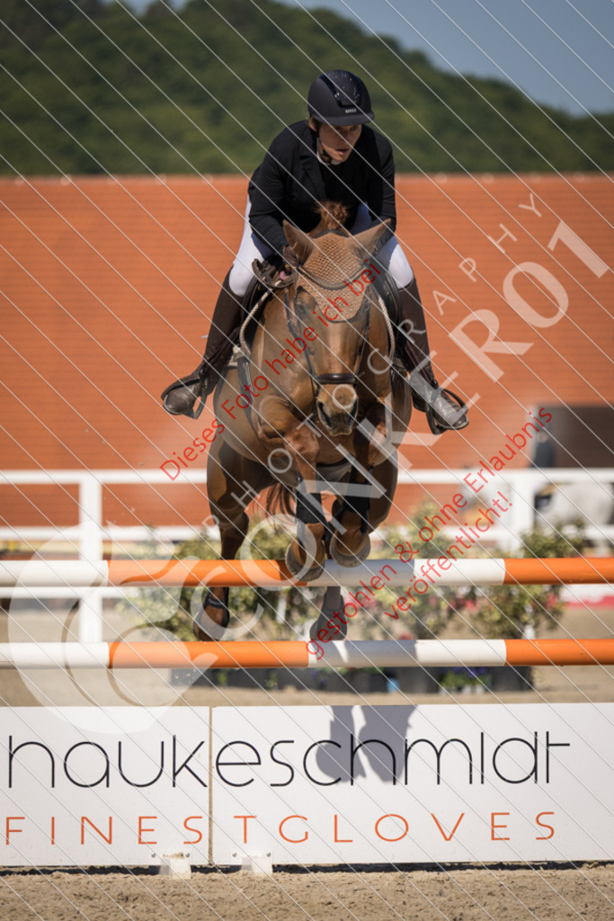 IMG_3822 | Sport-, Event- und Tierfotos in Profiqualität. Einfach auswählen, bestellen und herunterladen. Dein Moment – perfekt festgehalten.