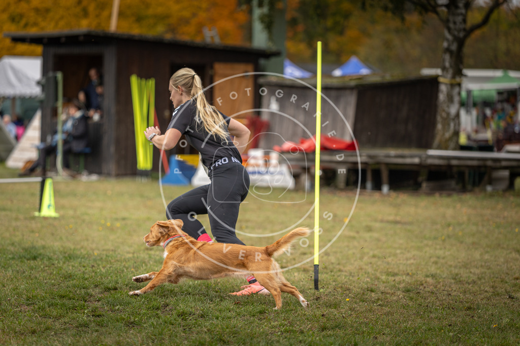 Pfotenfotografie_DV3A7225 | Hundefotografie, Tierfotograf, Pfotenfotografie, Fotoshooting Hund, Hunde Portrait, Hundesport, Hundeportraits, Heideshooting, Hunde, Sportfotograf, Hundefotograf, Turnierhundsport, THS,  - Realisiert mit Pictrs.com
