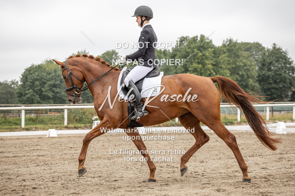 nelerasche_DrL_Ede_238 | nelerasche