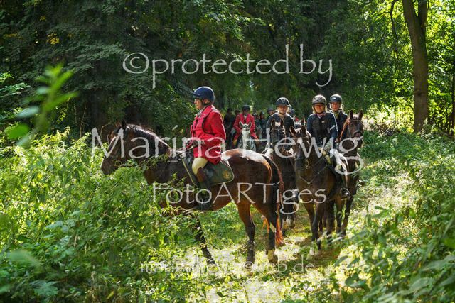 Jagd Perdoel_MarinaHewigMCH05051 | Fotografie, FotoArt, PferdesportArt, Pferdesportfotografie, Landschaftsfotografie, Reisefotografie, Reise, Pferde - Realisiert mit Pictrs.com