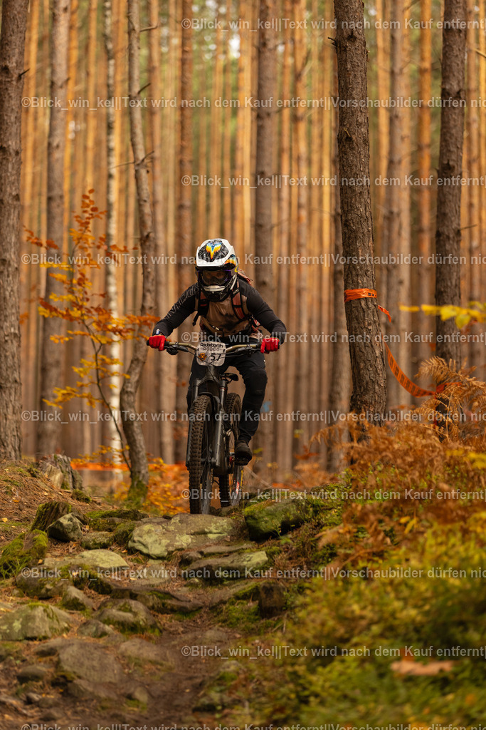 E68A2830 | blick_win_kel