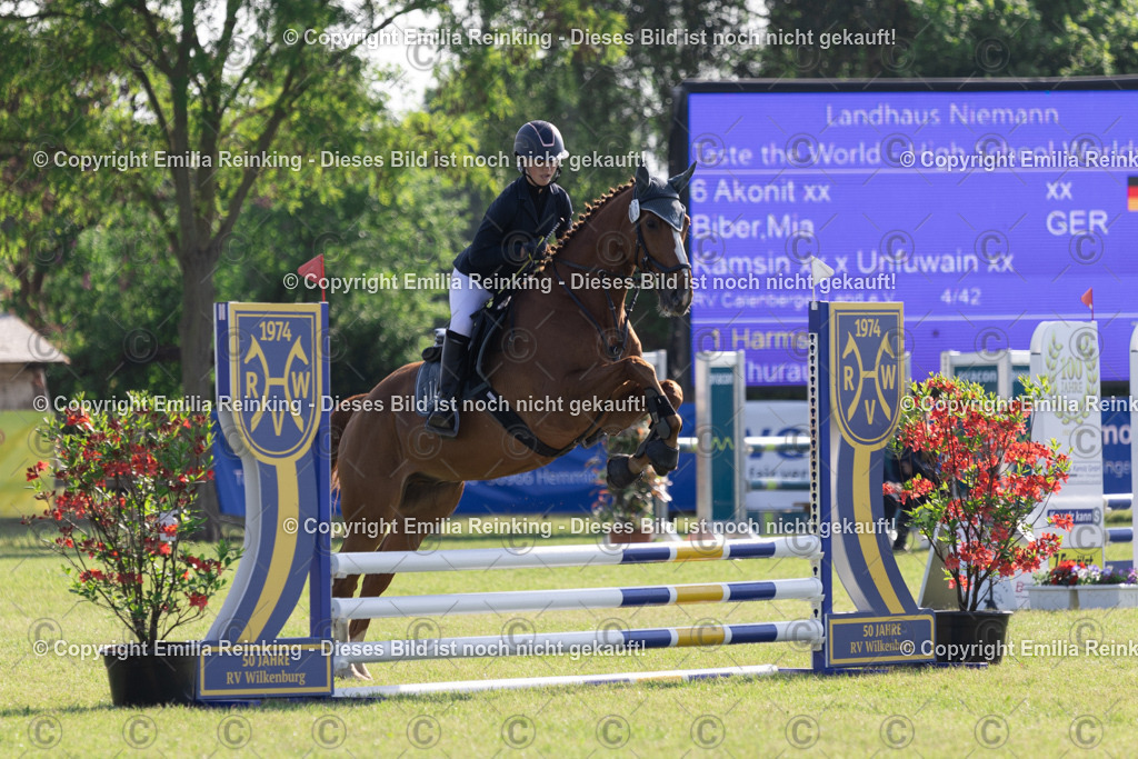 CL5A0315 | Emilia Reinking Fotografie - Realisiert mit Pictrs.com