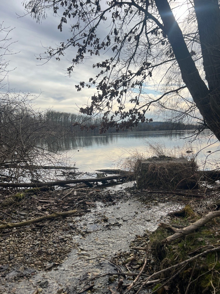 IMG_0258 | ace - Realisiert mit Pictrs.com