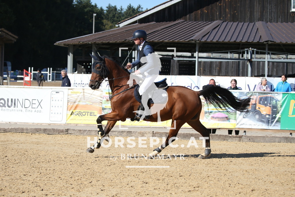 DL2Q1754 | Willkommen bei Brunnmayr - Design & Fotografie – Ihrem Spezialisten für Reitturniere und Pferdeveranstaltungen in Oberösterreich, Salzburg und Bayern! Seit über 17 Jahren sind wir leidenschaftlich dabei.