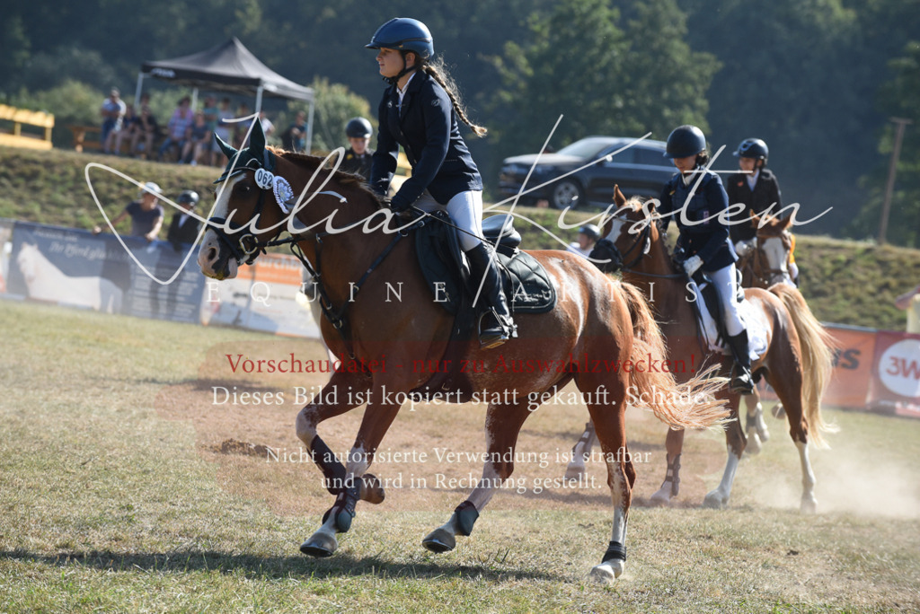 DSC_6206 | Pferde- und Turnierfotografie in Westsachsen. Pferdeportraits, Auftragszeichnungen und intuitive Kunst.