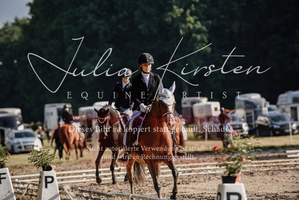 DSC_7879 | Pferde- und Turnierfotografie in Westsachsen. Pferdeportraits, Auftragszeichnungen und intuitive Kunst.