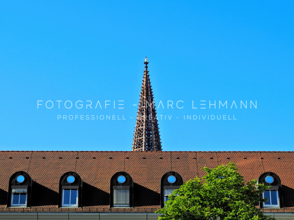 Freiburger Münster in Freiburg | Freiburger Münster in Freiburg - Realisiert mit Pictrs.com
