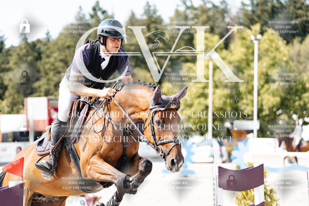 CK902329 | Turnierfotografie Pferdefotografie Trier Rheinland-Pfalz Pferdesport Reitsport Tierfotografie Sportfotografie Pferdevideo Pferdevideografie Equestrianvideography equestrianphotography  - Realisiert mit Pictrs.com