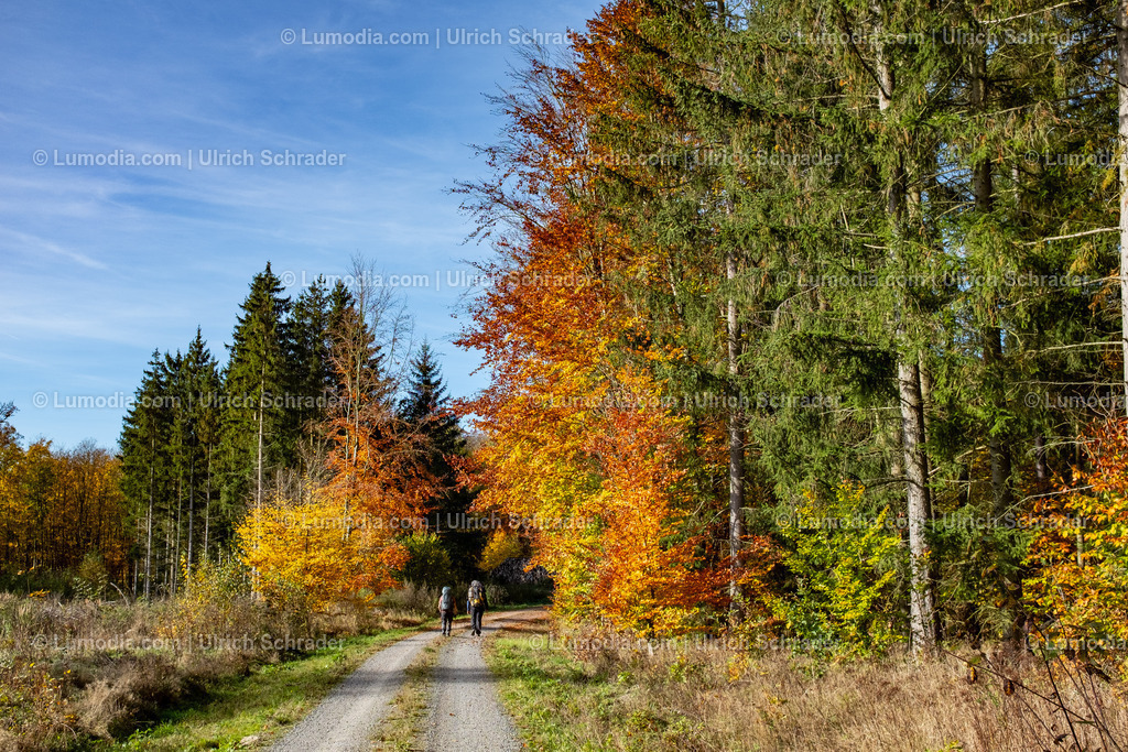 10049-13625 - Herbstwanderung im Harz | Stockfoto und Bilderpool mit Bildmaterial aus Deutschland, dem Harz, Halberstadt, Quedlinburg, Wernigerode und weltweit. Qualitativ hochwertige und professionelle Fotos anschauen und kaufen. - Realisiert mit Pictrs.com
