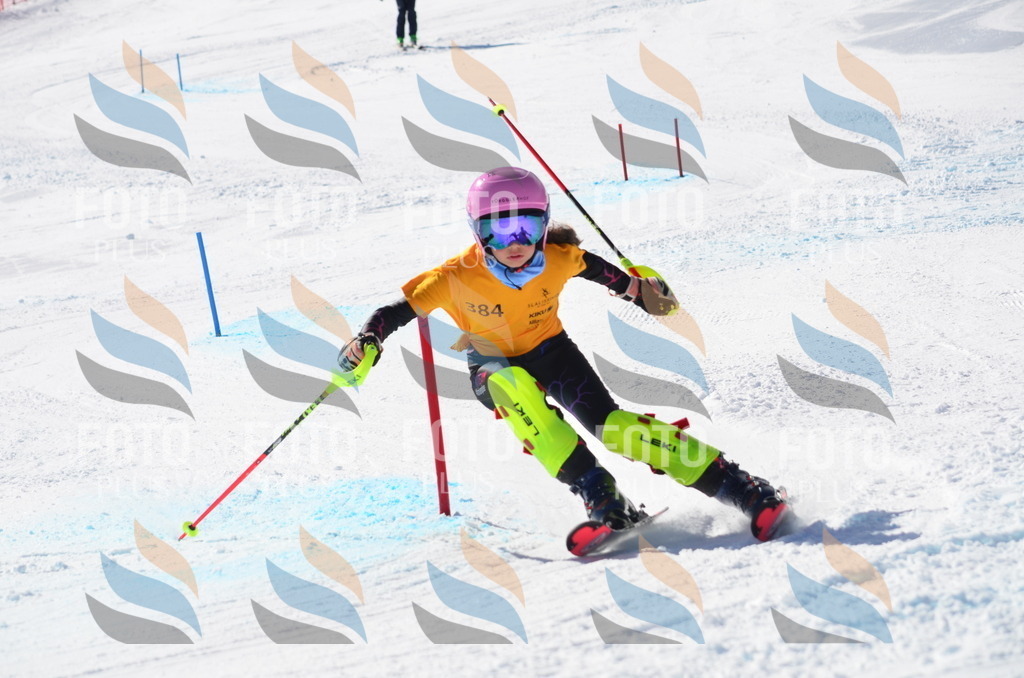 C8535 | holidayphoto