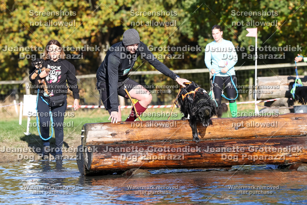 Dog Paparazzi - Strongdog 10-25-8828 | Dog Paparazzi Jeanette Grottendiek Fotografie & Videografie - Realisiert mit Pictrs.com