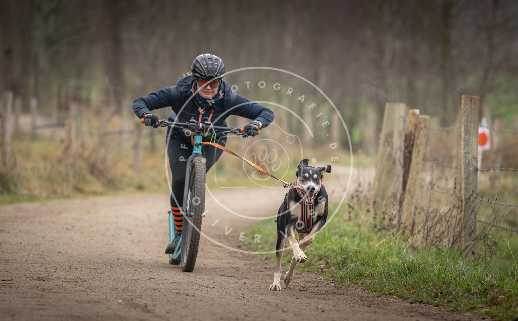 Pfotenfotografie_DV3A2382 | Hundefotografie, Tierfotograf, Pfotenfotografie, Fotoshooting Hund, Hunde Portrait, Hundesport, Hundeportraits, Heideshooting, Hunde, Sportfotograf, Hundefotograf, Turnierhundsport, THS,  - Realisiert mit Pictrs.com