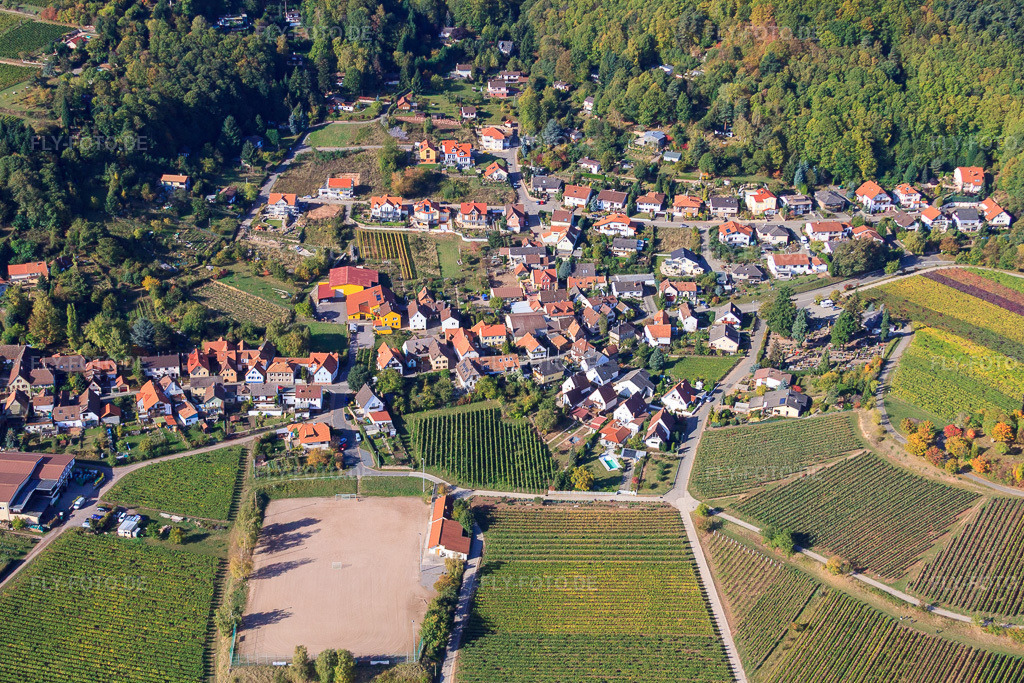 Luftbild: Am Schloßberg in Burrweiler im Bundesland Rheinland-Pfalz in Deutschland. Foto: IMG_22235.jpg vom 15.10.2009 durch Werner Riehm/FLY-FOTO.de