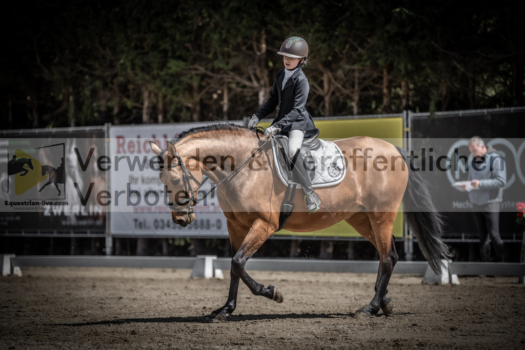 DSC_0910 | equestrian-live-com