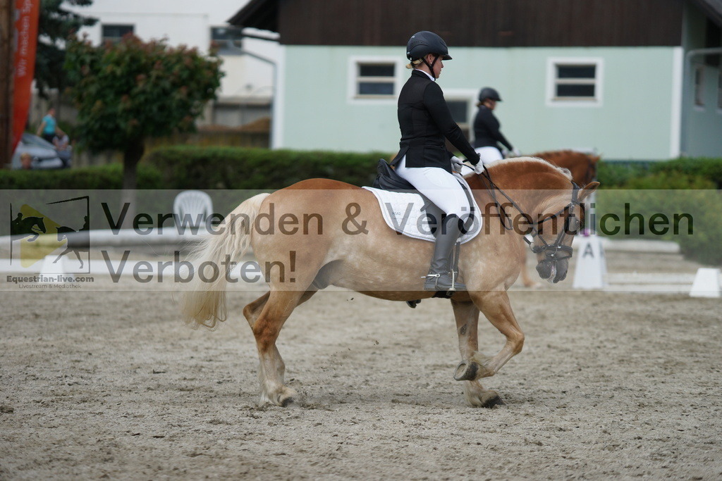DSC05435 | equestrian-live-com