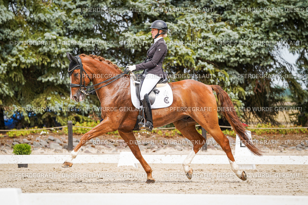 DSC05326 | Pferdegrafie