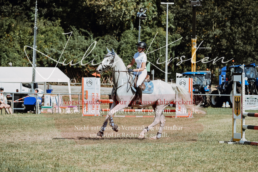 DSC_9572 | Pferde- und Turnierfotografie in Westsachsen. Pferdeportraits, Auftragszeichnungen und intuitive Kunst.