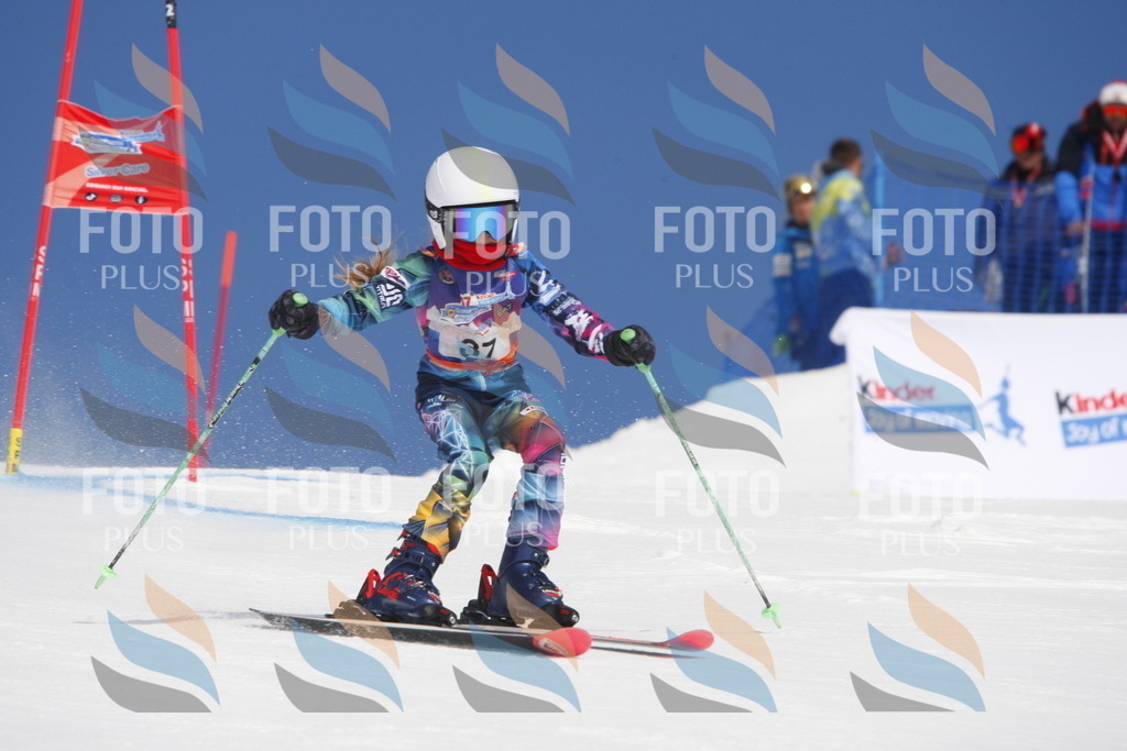 _W1G0516 | holidayphoto