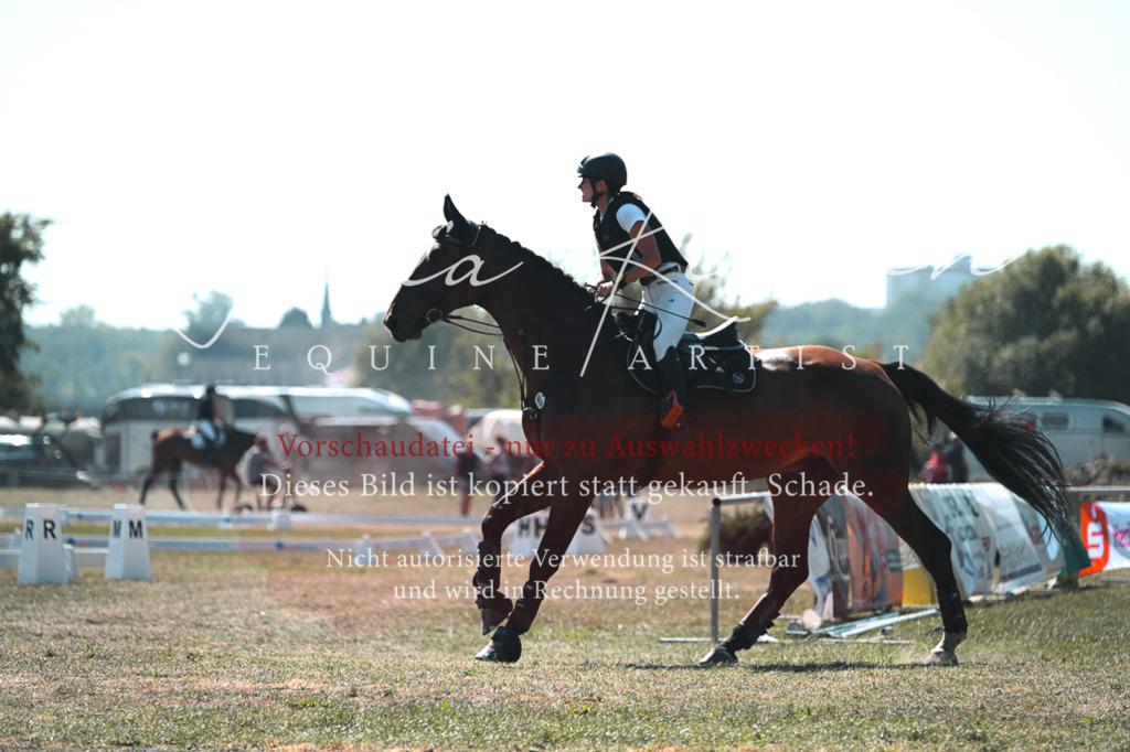 DSC_8322 | Pferde- und Turnierfotografie in Westsachsen. Pferdeportraits, Auftragszeichnungen und intuitive Kunst.