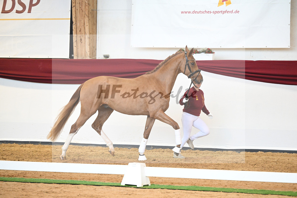 Kat-Nr. 56 v. Vivaldos_Fischer_66220815 | hf-fotografie - Realisiert mit Pictrs.com