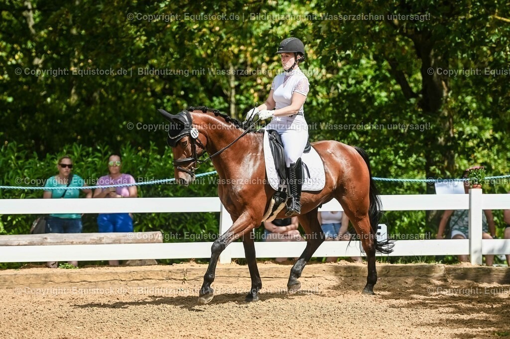 20230715_02_Dressurreiterprüfung Kl.L_0203 | equistock