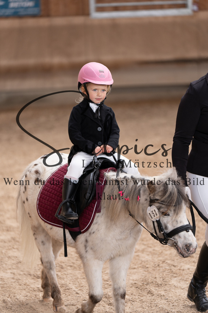 A7507313 | Pferdefotograf