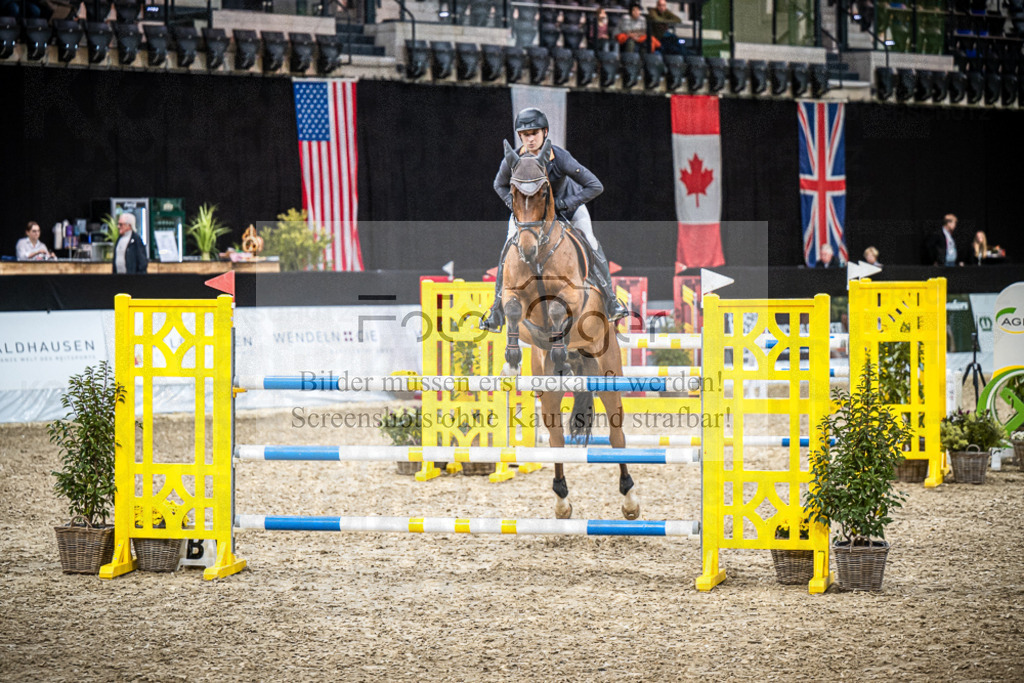 DOS_0266 | Entdecke hochwertige Reitturnierfotos von Foto Oger. Professionell, emotional und authentisch – jetzt Lieblingsmomente im Shop bestellen.Deutschlandweite Turnierfotografie. - Realisiert mit Pictrs.com