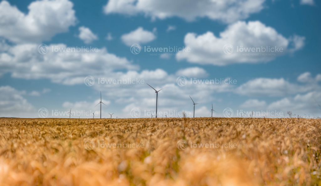 Windräder auf dem Messelberg im Sommer | löwenblicke | shop