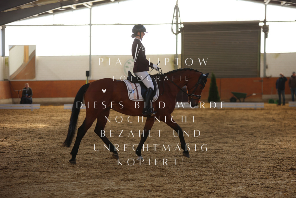 IMGT6291 | pl-fotografie