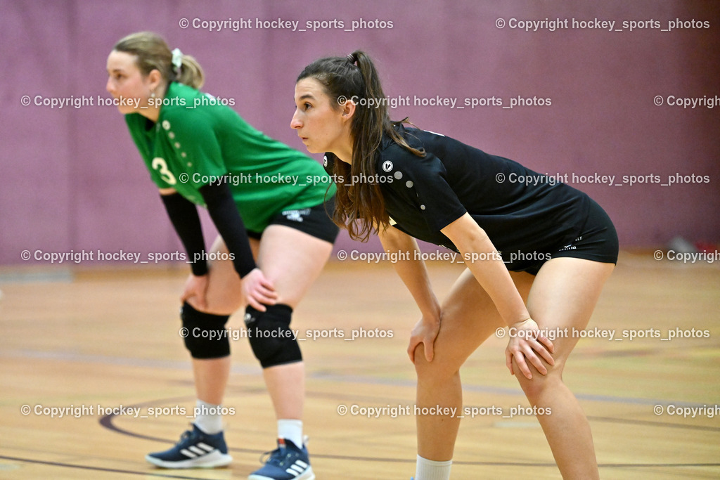 ASKÖ Volley Eagles Villach vs. VC Hausmannstätten | #13 WAKONIG Nadja VC Hausmannstätten, #4 ANNERER Stella VC Hausmannstätten, ASKÖ Volley Eagles Villach vs. VC Hausmannstätten, ASKÖ Volley Eagles Villach vs. VC Hausmannstätten am 01.02.2025 in Villach (Ballspielhalle Lind), Austria, (Photo by Bernd Stefan)