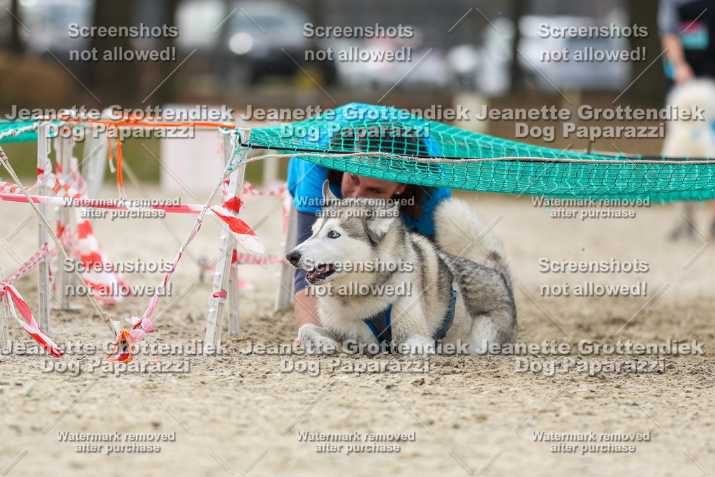 Dog Paparazzi - Strongdog North Mrz26-5677 | Dog Paparazzi Jeanette Grottendiek Fotografie & Videografie - Realisiert mit Pictrs.com