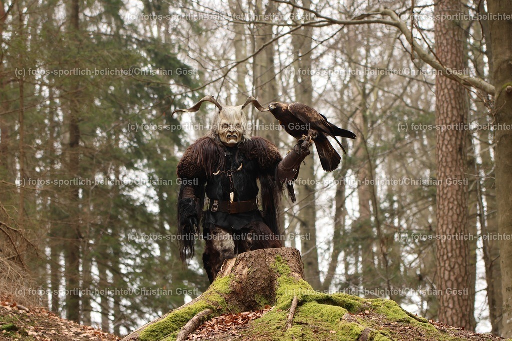 IMG_1818 | fotos-sportlich-belichtet - Realisiert mit Pictrs.com